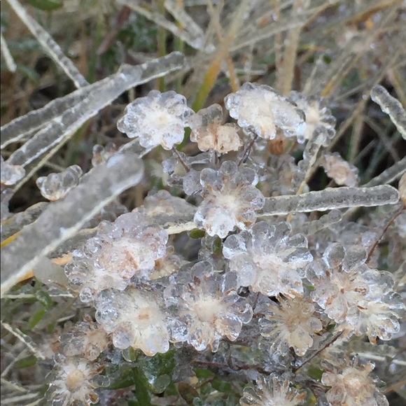 Meet your Posher, Mariela - Picture 1 of 1